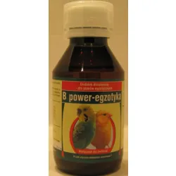 B POWER - EGZOTYKA 100 ML
