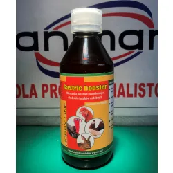 GASTRIC BOOSTER 250 ML