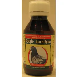 GOŁĄB-KARNITYNA 100 ML